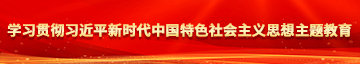 缓缓日狠狠操学习贯彻习近平新时代中国特色社会主义思想主题教育